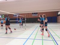 volley (6)